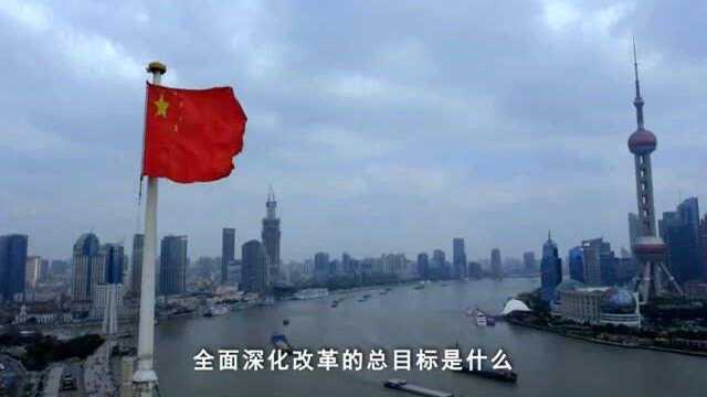 中国民间商会论坛20周年纪录片