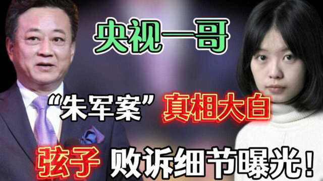 “朱军案”细节大曝光,揭开弦子背后势力,怪不得弦子败诉