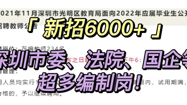 新招6000人+!深圳市委、法院、国企等超多编制岗!