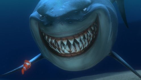 《鲨鱼故事》小混混被误认为是打死鲨鱼的高手，从此走上人生巅峰。