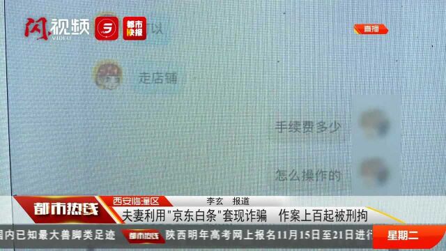 夫妻利用京东白条套现诈骗 作案上百起被刑拘