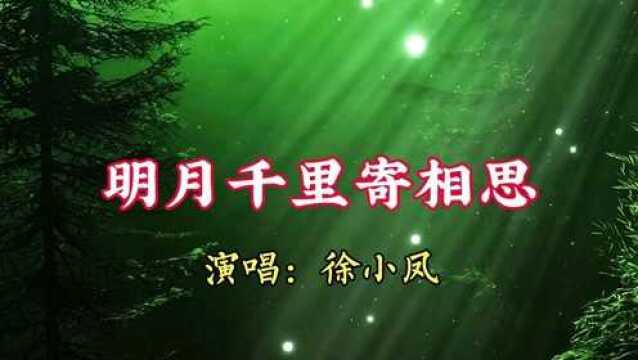 经典歌曲【明月千里寄相思】徐小凤