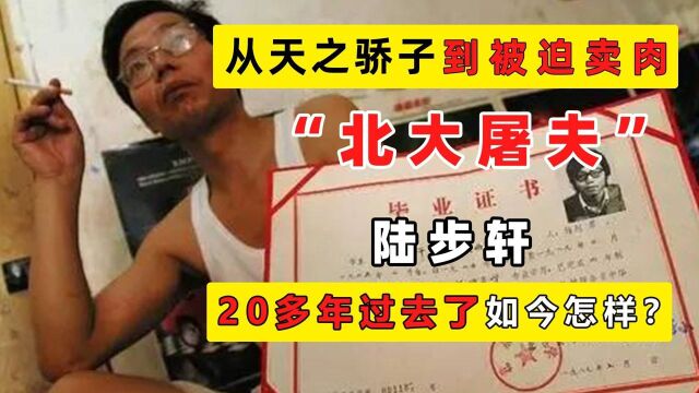 “屠夫才子”陆步轩,当街卖肉被嘲讽,如今身价过亿为北大捐9亿