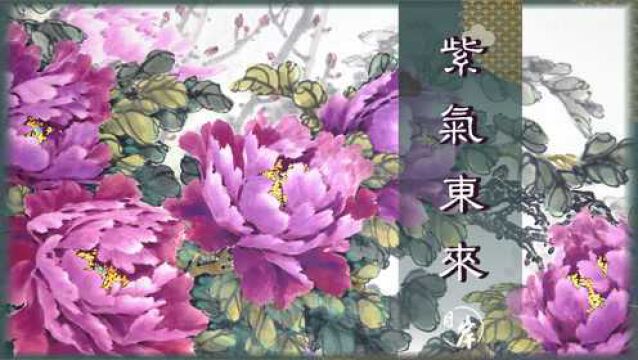 紫气东来,牡丹四大名品之一“魏紫”|国家一级美术师刘凯焰作品