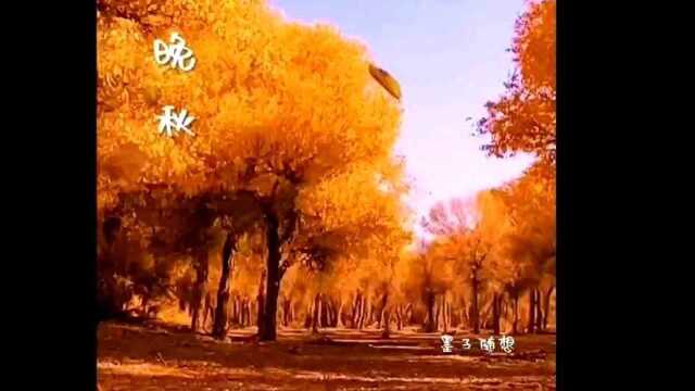 中阮演奏《晚秋》