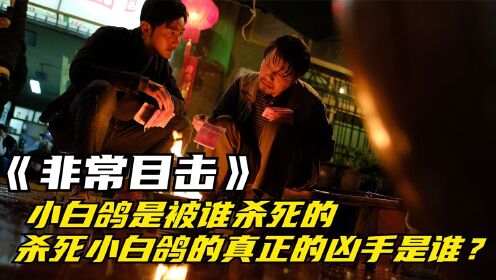 [图]非常目击：小白鸽是被谁杀死的，杀死小白鸽的真正的凶手是谁？