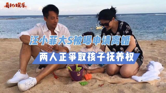 大S已提交申请!与汪小菲离婚,正在争抚养权?