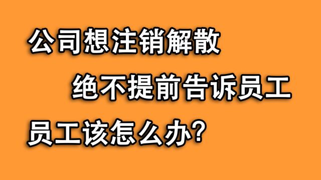 公司解散跑路不提前通知,员工只能被动?用这些方法提前判断应对