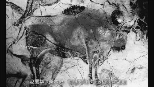 赵丽华谈美术史·史前艺术·西班牙阿尔塔米拉洞穴壁画