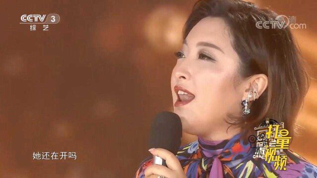 金美儿倾情演唱《那些花儿》,经典旋律,听哭了多少人