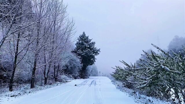 自驾川西秘境凉台沟,就在阿坝州理县,路上雪景很美,到沟口却为啥没敢进?