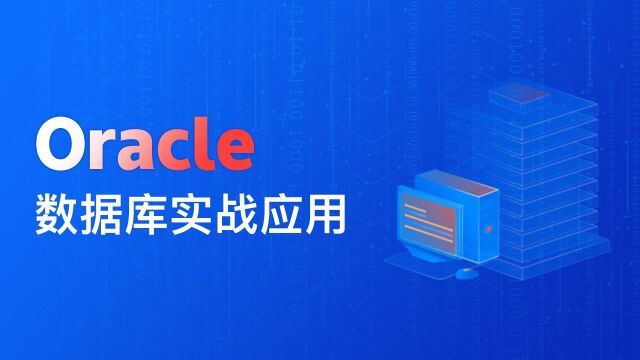 Oracle数据库应用教程13数据类型