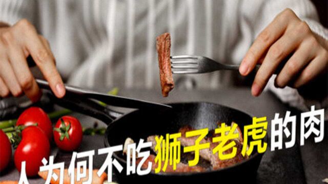 人为什么只吃食草动物的肉,不吃狮子老虎的肉,它们的肉有毒吗?