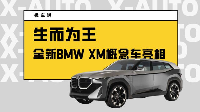 生而为王 | 全新BMW XM概念车亮相