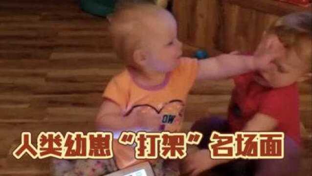 父母的爱悄无声息,哥哥的爱啪啪作响!盘点人类幼崽“打架”瞬间