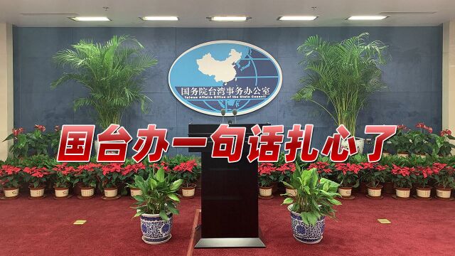 美国“民主峰会”,台高官阳奉阴违气疯白宫,国台办一句话扎心了