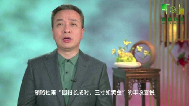 视频:康震——视频祝贺 2021第五届”中国ⷧ™𝥸城”国际诗歌节