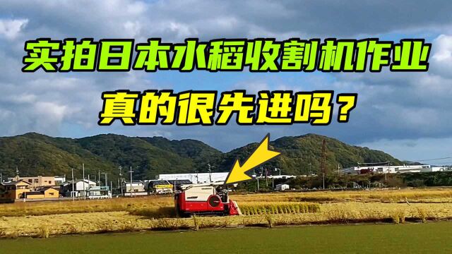 实拍日本农村收稻谷,500万的收割机村民轮流租借:太贵买不起!