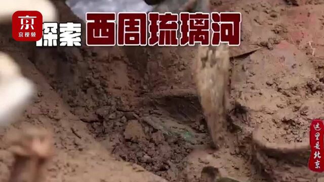 这场直播别错过!2021 琉璃河考古新发现来啦!