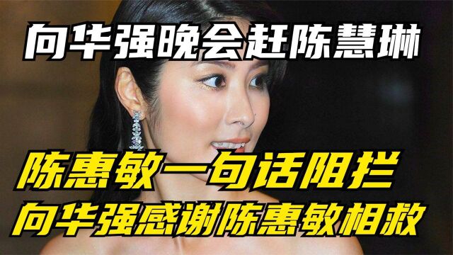 陈慧琳出道被向华强轰走,陈惠敏拍拍向华强,陈慧琳背景就此公开