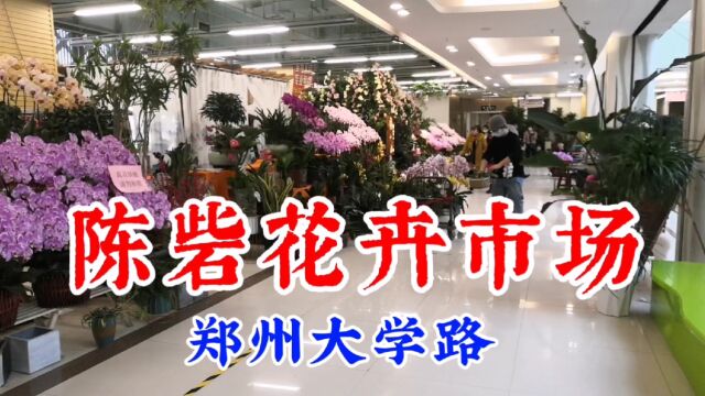 陈砦花卉市场品种繁多,小狗眼巴巴的望着,能把我带走吗?