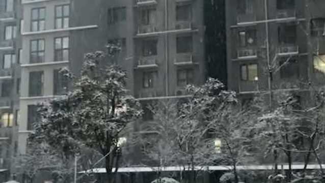 下雪了!2022年郑州迎来第一场雪,你赶上了吗?