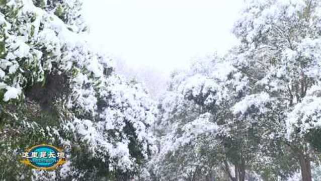 这里是长垣——长垣初雪