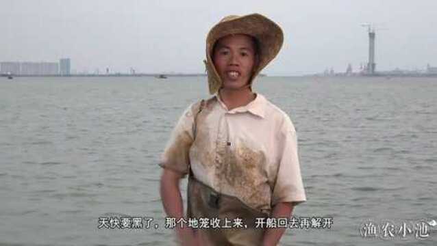 捞上两海生物,一身软刺一根虹管,10年老渔民也没见过