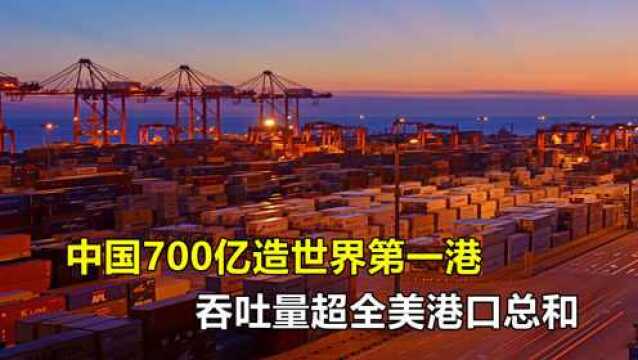 我国再出手,耗资700亿建造世界第一大港,吞吐量超全美总和