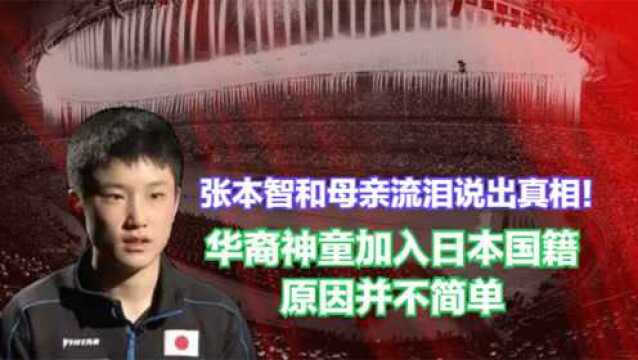 张本智和母亲流泪说出真相!华裔神童加入日本国籍,原因并不简单