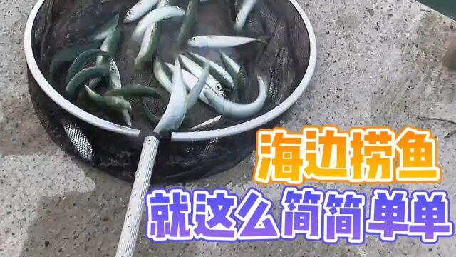 海边捞鱼,就这么简简单单!