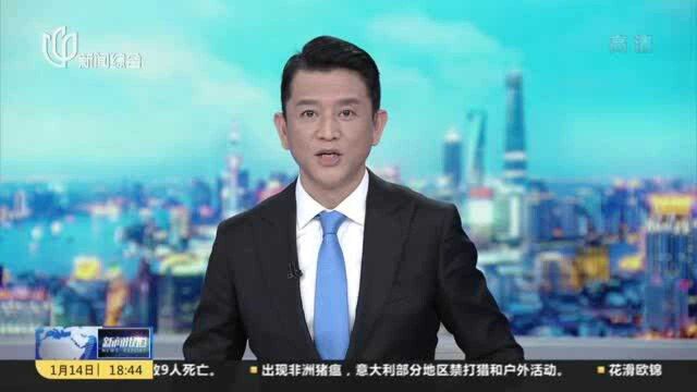 奉贤:24个项目集中签约 腾讯将导入顶级IP资源