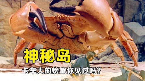 《神秘岛》5男2女荒岛遭遇汽车大的螃蟹，用温泉煮熟吃掉！