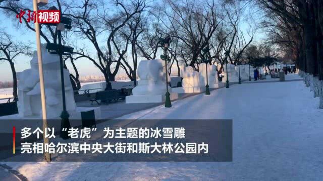 喜迎虎年“虎”元素冰雪雕亮相哈尔滨