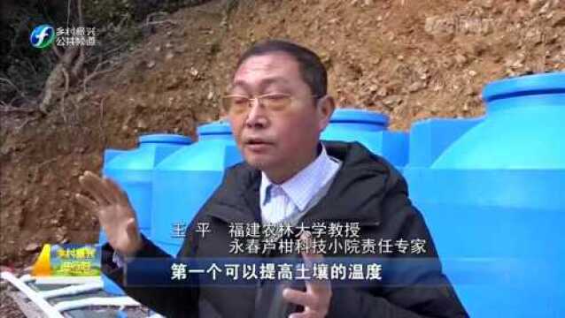 改善土壤生态试验,助推柑桔生产提质增效