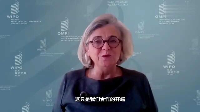 世界知识产权组织副总干事:高度赞赏中国对冬奥会的版权保护行动