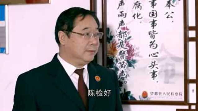 聚焦基层两会┃望都县检察院检察长田志伟作工作报告