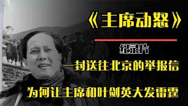 1973年,北京收到一封信,让伟人和叶老总大发雷霆:马上彻查#2022春节陪你侃好片#