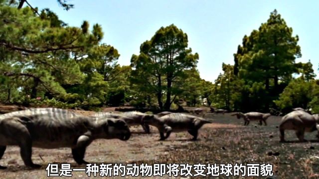 史前生物:今天带你来了解,三叠纪时代的生物是如何进化的