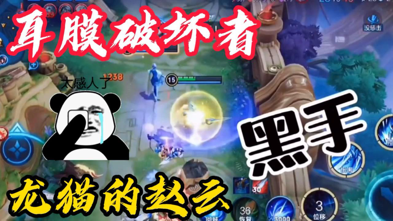 王者荣耀 五大耳膜破坏者 上集之龙猫的赵云.