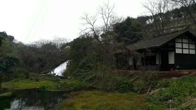 走进国立中央大学旧址,抗战时期42天创建的奇迹,从这里走出了大批院士