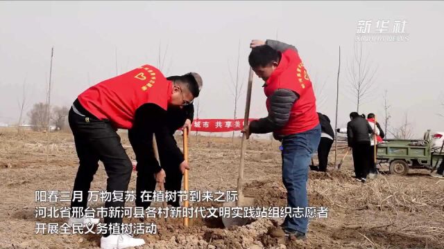 河北新河:全民义务植树 建设美丽家园