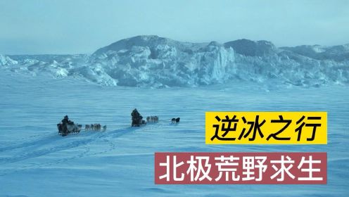 《逆冰之行》2022最新冒险片，北极荒野求生865天，真实故事改编