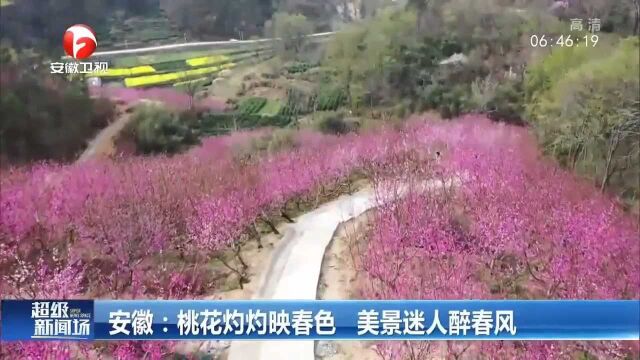 桃花灼灼映春色,美景迷人醉春风,安徽这个地方值得一去