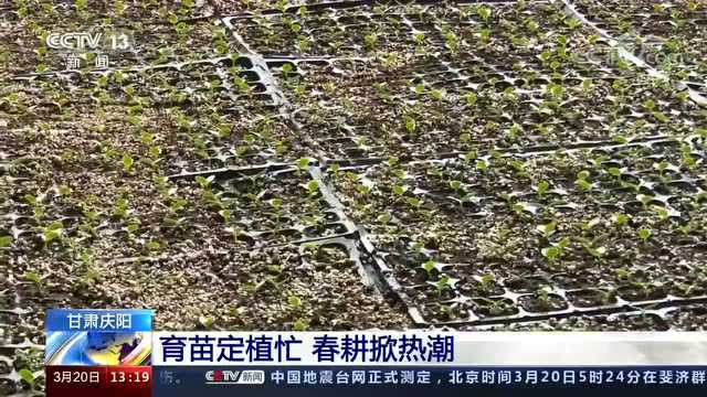 稳产增收 央视《新闻直播间》关注宁县春耕生产工作