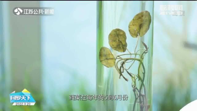 长江遇见“宁”:打开生态百宝箱 看看这些动植物你认识吗?