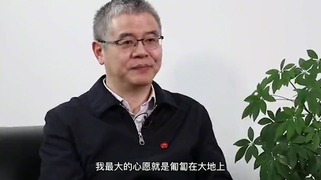 女科学家黄令仪82岁造出“龙芯”,36岁重新出山,为国家省万亿元