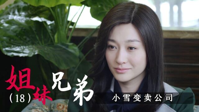 姐妹兄弟:为了让宋建国创业,小雪变卖公司支持他