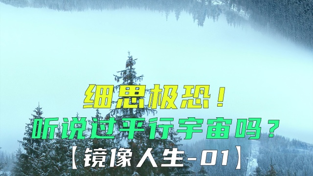 你知道平行宇宙吗?这部剧每一个细节都细思极恐!《镜像人生01》