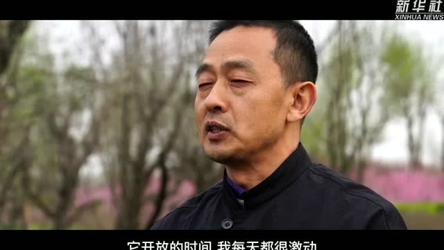 奋进新征程 建功新时代ⷤ𜟥䧥˜革|老郑的“绿色变奏曲”